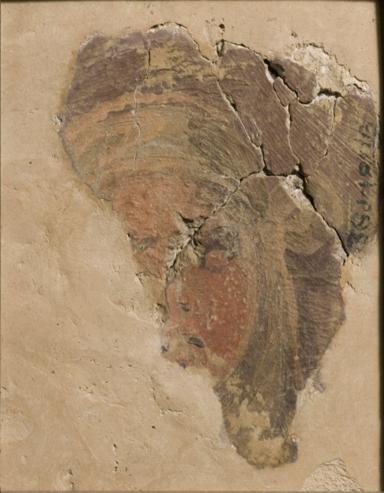 Dimensions taken from  C.M. Kauffmann,< i>Catalogue of Foreign Paintings, I. Before 1800,</i> Victoria and Albert Museum, London, 1973