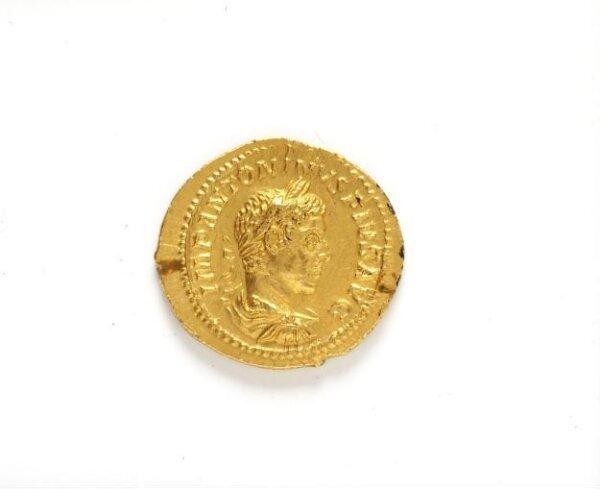 Coin