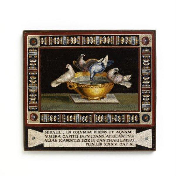 Plaque