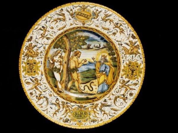 Dish