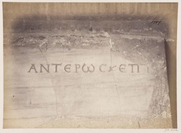 Photograph