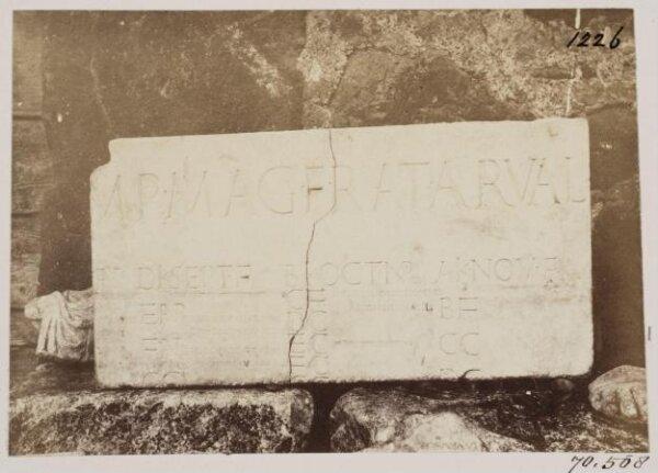 Photograph