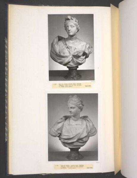 Bust