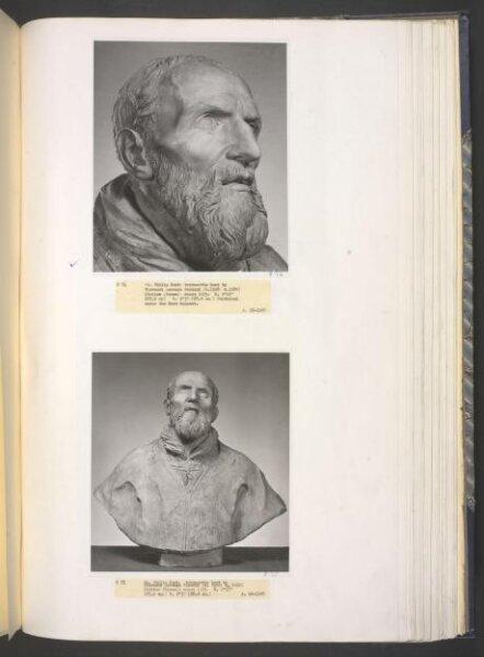 Bust